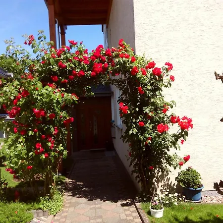 Rasche Zum Traeumen 贝维伦金