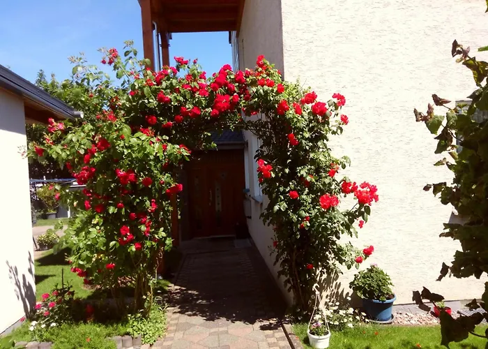 Rasche Zum Traeumen 贝维伦金